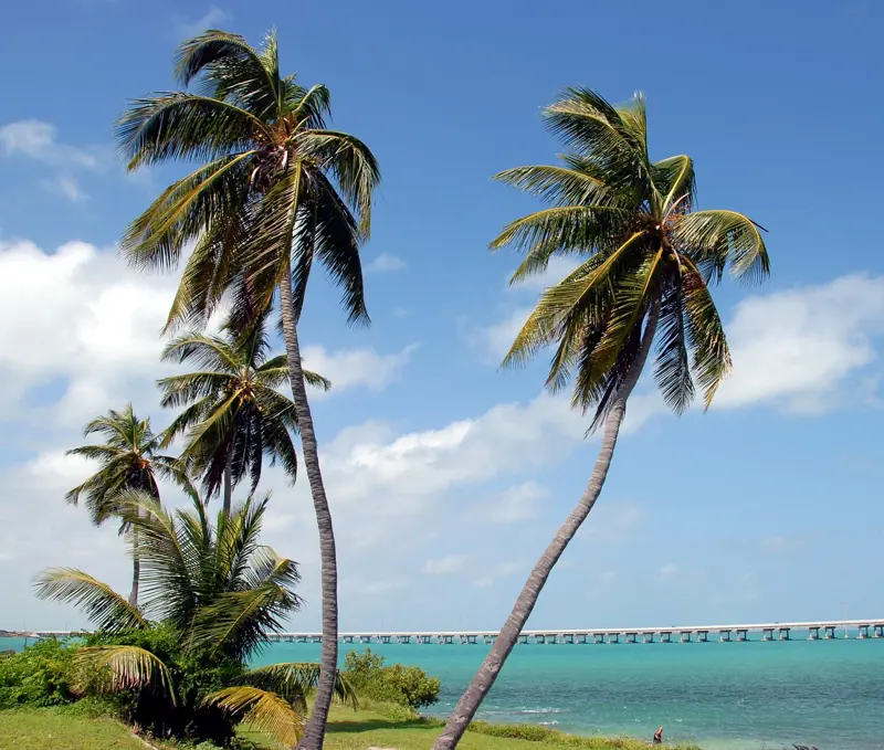 Bahia Honda State Park, Big Pine Key, FL
