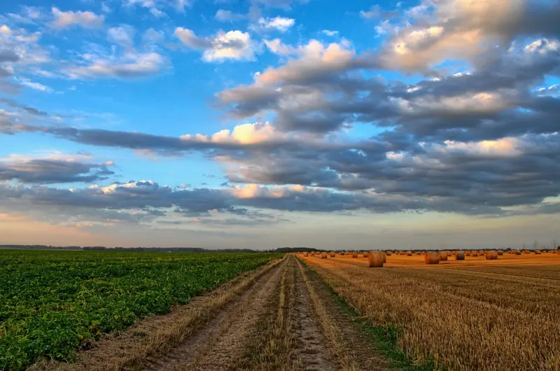 Rural Glades and Hendry County, LaBelle, FL
