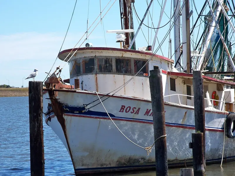 Apalachicola, Port St. Joe and Mexico Beach, Gulf County, FL