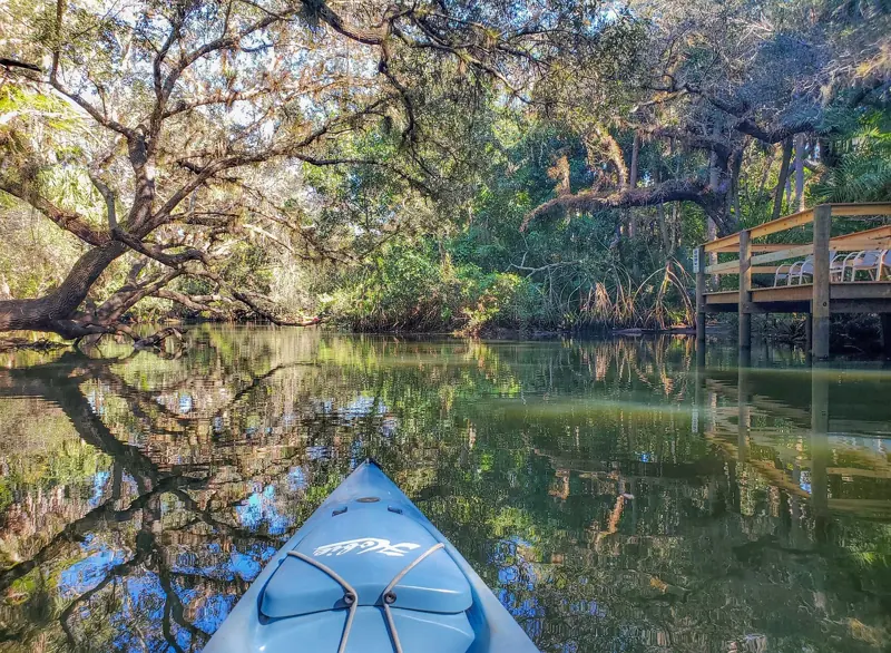 North Florida forests and springs